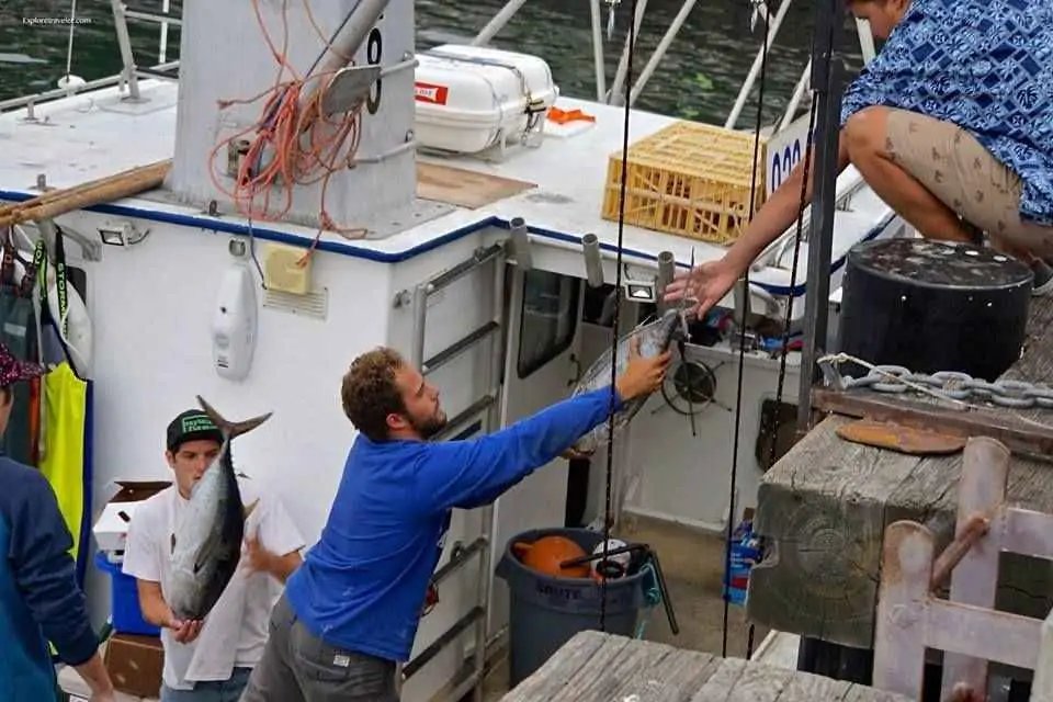 Tuna Harbor Dockside Market In San Diego California USA2