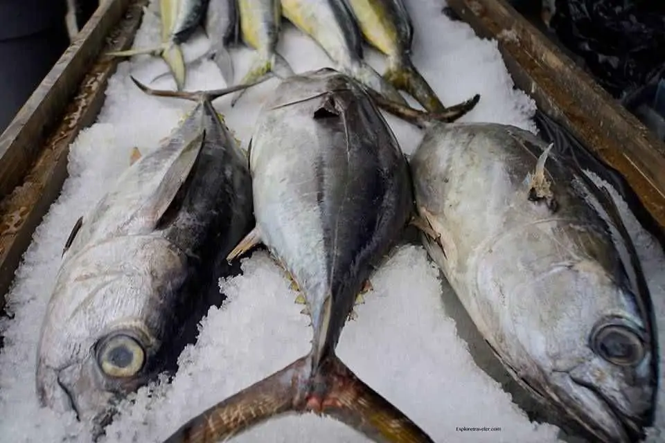 Tuna Harbor Dockside Market In San Diego California USA7