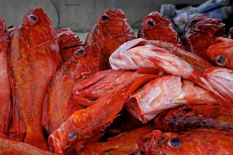 Tuna Harbor Dockside Market In San Diego California USA8