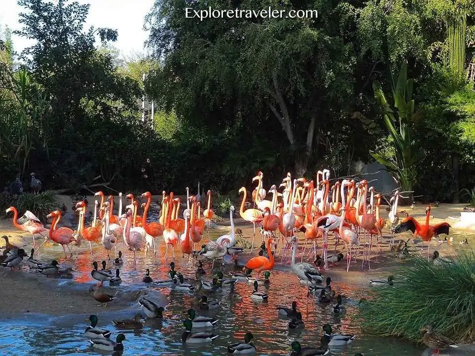 Jurong Bird Park Singapore