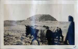 Person walking alongside donkeys in the arid landscape of Ur of the Chaldees, with a historical mound in the background.