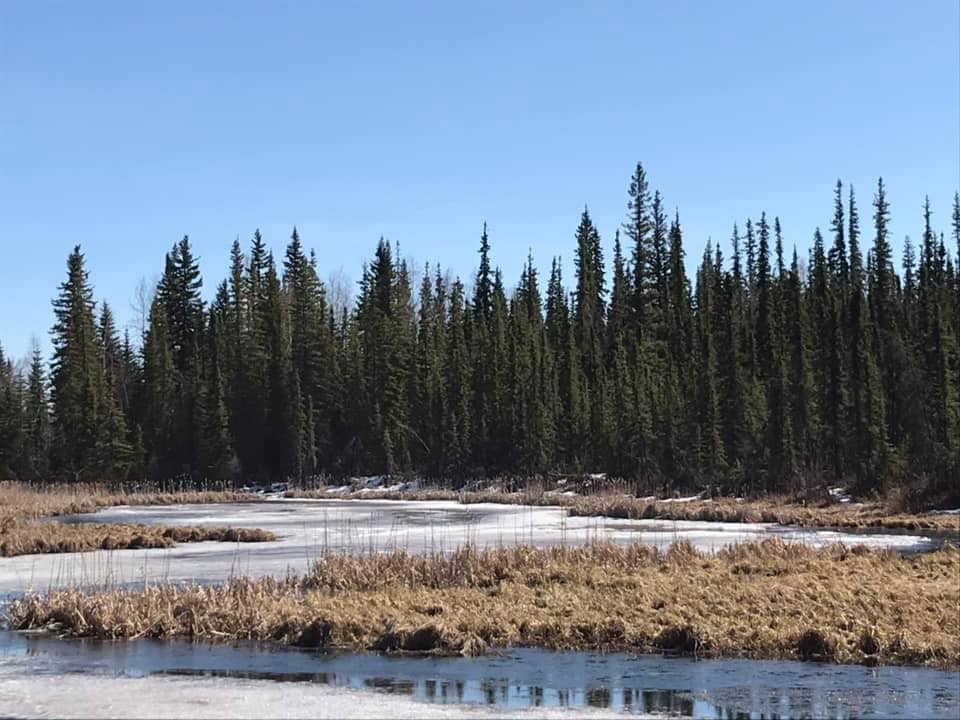Alaska-Wanderblog