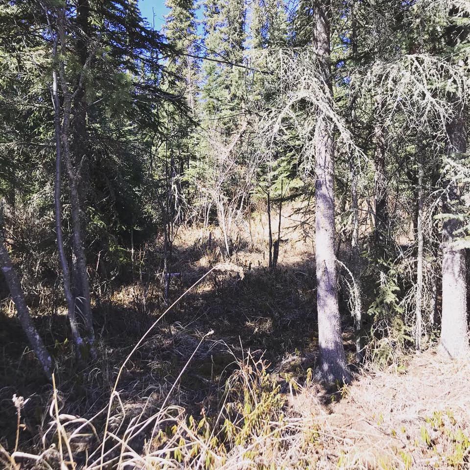 My Alaska Hiking Blog