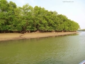A Malaysian Experience - A body of water - Nature reserve