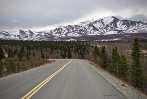 Scenic view of the Denali Highway in Alaska, featuring a winding road surrounded by evergreen trees and snow-capped mountains under a cloudy sky.