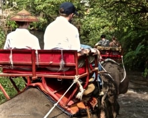 Riding elephants and donations to the elephant preserve