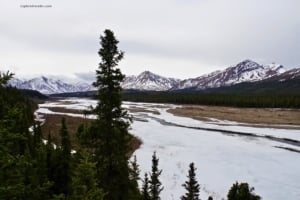River winding through Denali National Park with snow-capped mountains and lush green trees in the foreground.