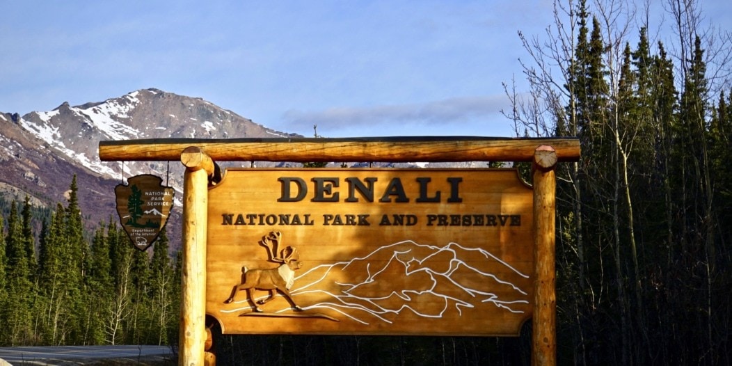 Welcome Denali National Park