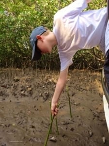 Child exploring mangrove ecosystem, reaching down to touch mud and plants, highlighting hands-on nature experience in Malaysia.
