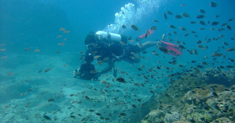 scuba diving in goa