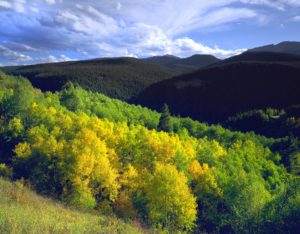 notch Mountain Trail