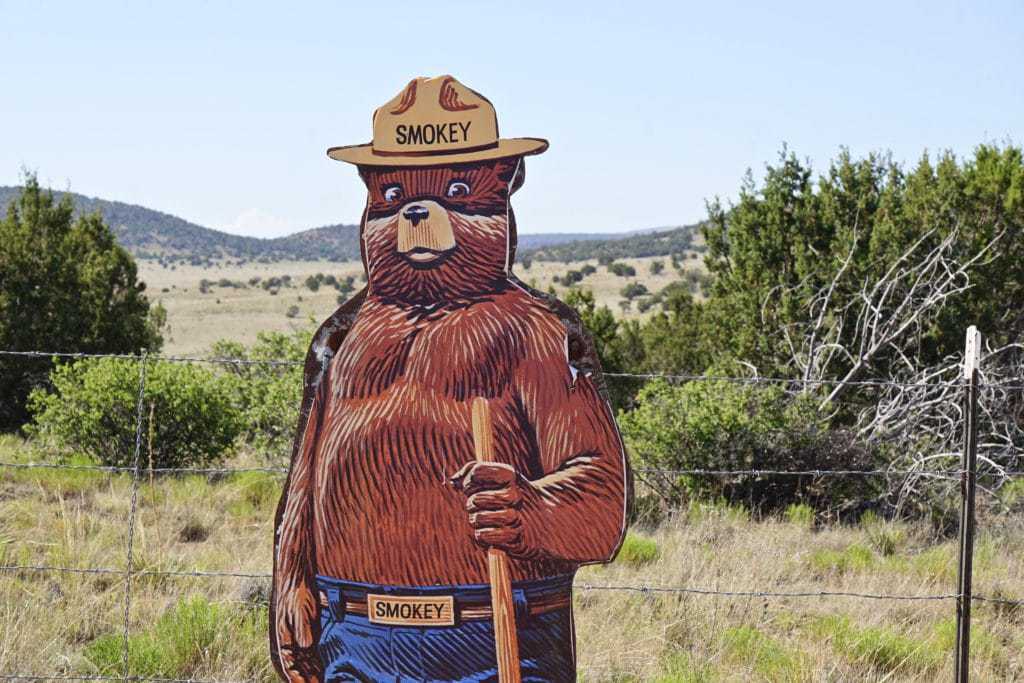 Pandemic End 2022 5 Smokey Bear Park