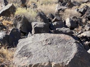 black volcanic rock used to carve petroglyphs