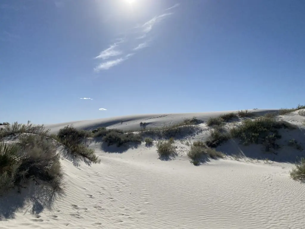 Walking around in White Sands National Monument