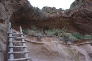 Entrance to Alcove House in Bandelier National Monument featuring a wooden ladder leading to a rock overhang and surrounding vegetation.