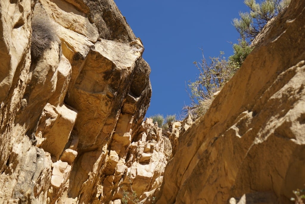 À la recherche de pétroglyphes à Sego Canyon Utah