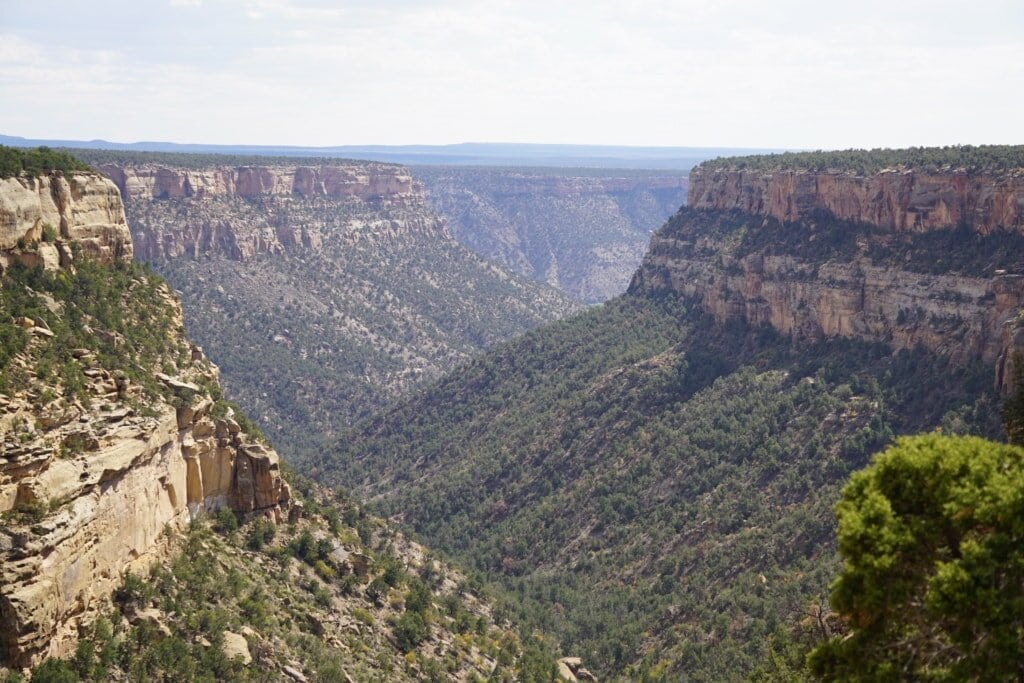 Pueblo people lived within these steep cliffs