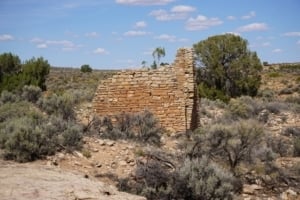 Square Tower ruins at Hovenweep National Monument surrounded by desert vegetation and shrubs, showcasing ancient Pueblo architecture.