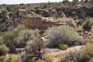 Stronghold House Hovenweep National Monument in Canyons of the Ancients
