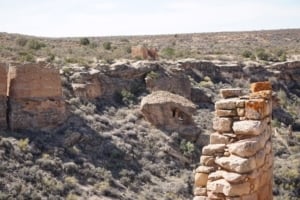 View of Tower Point across the canyon in Canyons of the Ancients National Monument, showcasing rugged cliffs and desert vegetation.