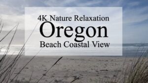 4K nature relaxation scene showcasing a coastal view of Oregon beach with gentle waves and grass in the foreground, highlighting the natural beauty of Fort Stevens State Park.