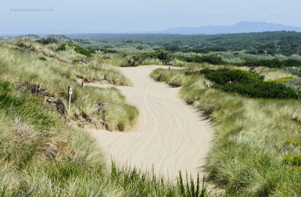 Jalur Oregon Sand Dune State Park