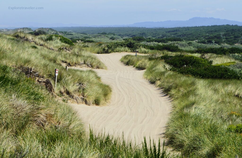 Sand Dune State Park Oregon Trails