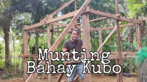 bahay kubo