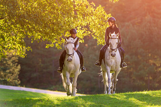 Image of horse riding