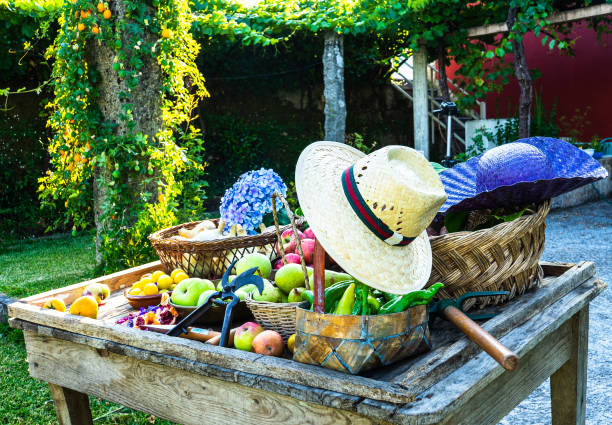 hats placed on top of fruit and vegetable baskets after harvesting