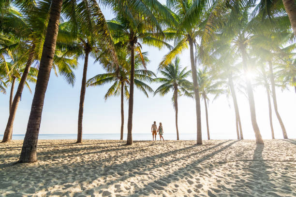 sunny morning at seaside