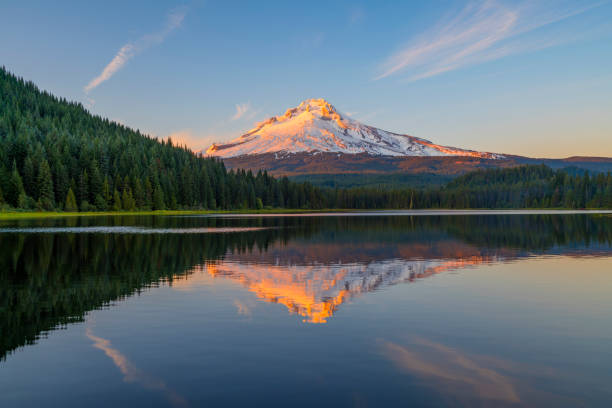 Hood were seen in Trillium Lake water with trees around the lake. 