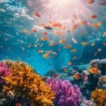a vibrant underwater scene showcases a diverse marine ecosystem with colorful coral reefs, shimmering schools of tropical fish, and adventurous divers exploring crystal-clear waters, symbolizing the thrill of diving in south west asia.