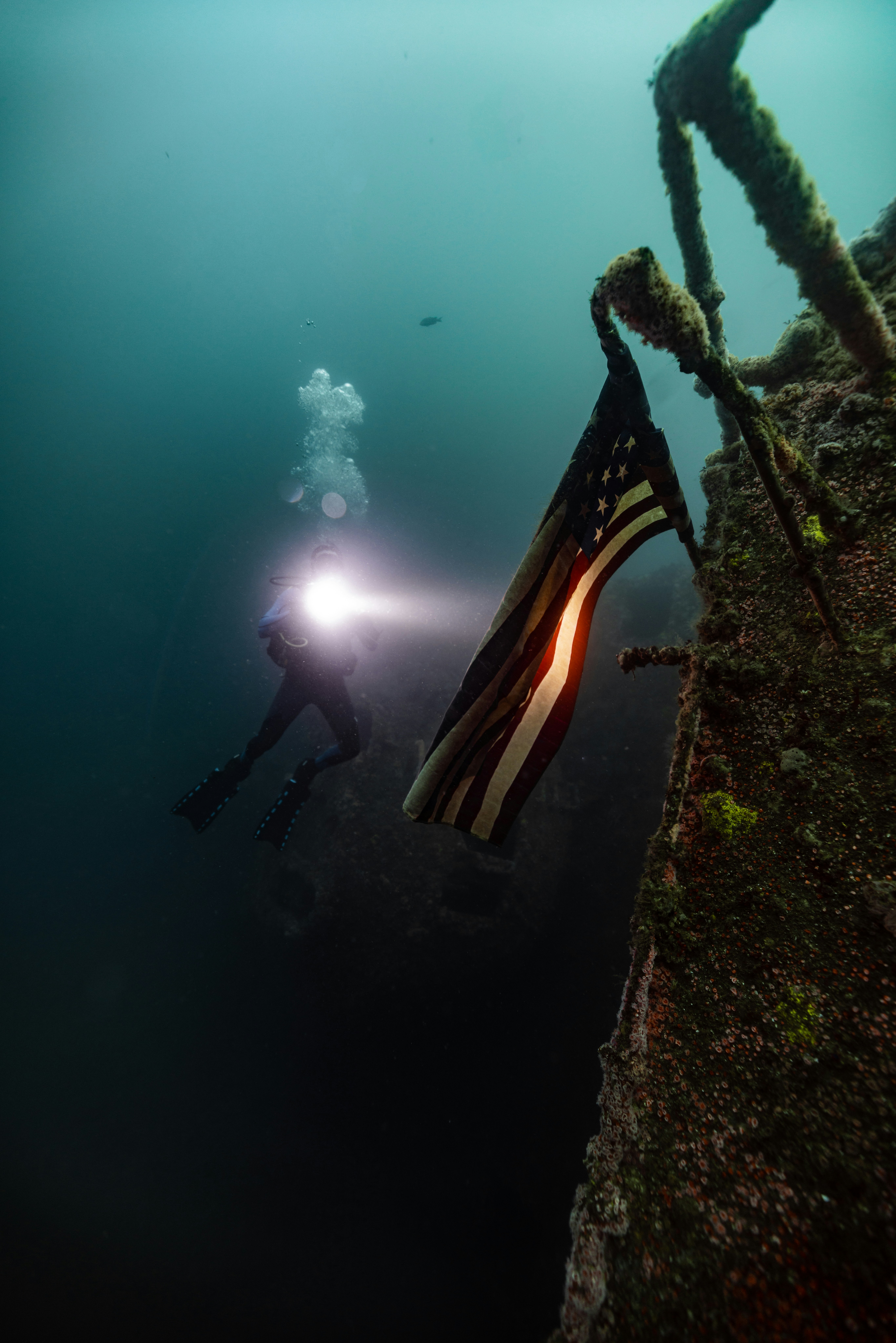 Dive In: Get Your Scuba Diving Certification Near You Today 2 photo 1751677524360 978c93b2c0b2