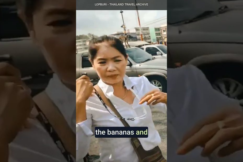 The Monkeys Took Our Bananas in Thailand